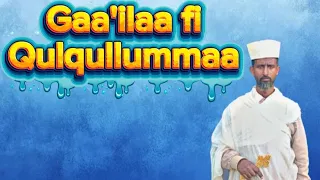 𝗚𝗮𝗮 𝗶𝗹𝗮𝗮𝗳 𝗤𝘂𝗹𝗾𝘂𝗹𝗹𝘂𝗺𝗺𝗮𝗮 