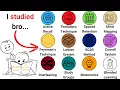Every Study Method Explained In 7 Minutes
