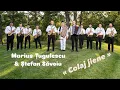Download Lagu Marius Tugulescu si Stefan Savoiu - Colaj jiene (cover)
