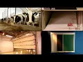 Download Lagu How It's Actually Made - Milk, Mail, Garage Doors, Blackboards
