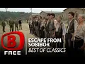 Escape from Sobibor Underground Resistance Escape Death Camp History War Full Free Movie