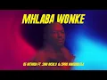 De Mthuda - Mhlaba Wonke (Visualizer) ft. Sino Msolo, Sipho Magudulela