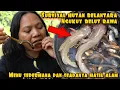 SANGRAI BELUT RAWA MENU SURVIVAL DI HUTAN BELANTARA
