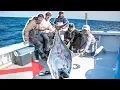 Catching WORLDS Most EXPENSIVE Fish Catch and Sell 400 POUND Blue Fin TUNA