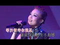 容祖兒-花千樹@巨星靚聲音樂會(KTV)