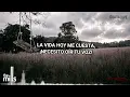 THE MILLS - GUADALUPE (VIDEOFAN CON LETRA)