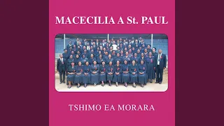 tshimo ya morara
