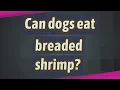 Can dogs eat breaded shrimp