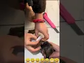Download Lagu Chhote Don ke kapde||Puppy Please let the tonic kill me #camptopic#Youthtopic#funny #shortsvideo