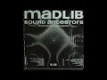Madlib - Hopprock (vinyl)