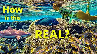 INSANELY Beautiful Dive 🤯 (Its World Famous for a Good Reason!!) (Calico Skies Sailing, Ep 245)