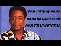 Bana ba Cameroun - Sam Mangwana_ (Instrumental)