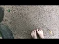 Suivre le soleil paroles