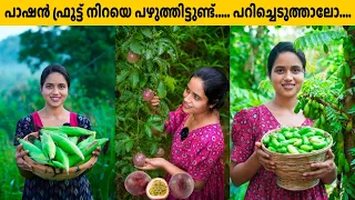 ഇരുമ്പപുളി പറിച്ച്  ഉപ്പിലിട്ടു വച്ചാലോ......