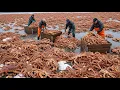 Download Lagu Begini Cara Negara Maju Ternak 2 Juta Ikan \u0026 Udang di Laut Lepas Hasilkan 100 Triliun Rupiah