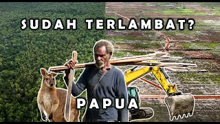 Fakta Hutan Merauke Perlahan Habis | DEFORESTASI PAPUA DEMI FOOD ESTATE