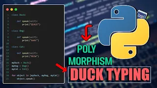 Duck Typing in Python Python OOP Polymorphism