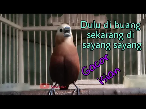 Emprit kaji gacor full isian