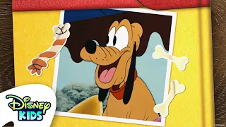 Incontra Pluto 🦴🐾 | @DisneyKidsIT
