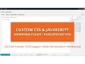 Custom CSS Javascript Developer Edition WordPress Plugin