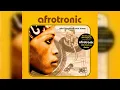 Lagu Various - Afrotronic (Afro Flavoured Club Tunes) (Afrobeat, Broken Beat, Downtempo) (2000)