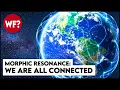 The Forbidden Theory of Morphic Resonance