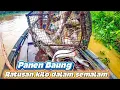 Download Lagu GILA‼️ Semalam Jaring Langsung Penuh Ikan Baung,Sampai Susah Diangkat