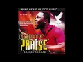 Download Lagu Celebration praise Gospel  bro Abraham  Edozie