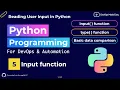 05 - Input function in Python