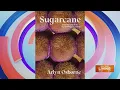 NYC cookbook author shares recipes from Sugarcane