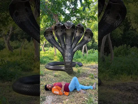 😱 5 सिर वाला नाग लड़के से मदद माँगने आया! #shorts #youtubeshorts