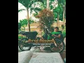 Download Lagu story wa jowo lucu | story wa jowo ambyar | story wa jowo 30 detik