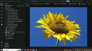 Add Watermark to Images Using Python Easy Pillow Tutorial for Beginners