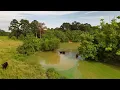 212 Acres Rutherford Rd Deridder Louisiana