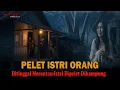Lagu SEDIH..HAMPIR GILA❗️❗️DITINGGAL MERANTAU-ISTRI DIKAMPUNG DIPELET SUAMI ORANG