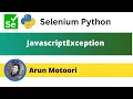 JavascriptException Selenium Python