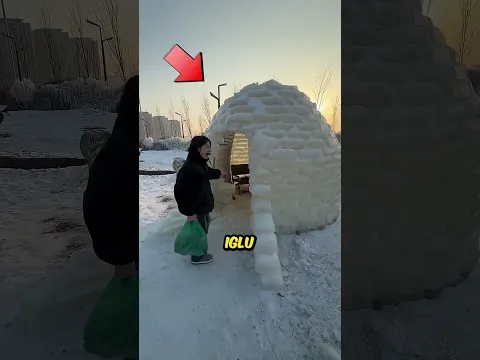 Como dormir em um iglu