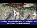 Download Lagu Jingthaw ba phylla kiba ngim pat juh iohi || U maw ba wan dur thik Kum u dohkha #khasi video