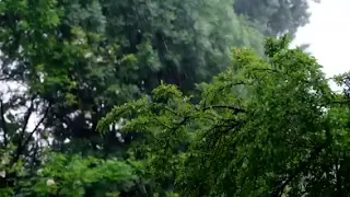 ترنيمه حس دوى مطر دندنها