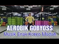 Download Lagu SENAM AEROBIK GOBYOSS MUSIK ENAK KOREO MUDAH