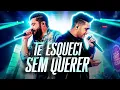 Henrique e Juliano - TE ESQUECI SEM QUERER Áudio Oficial