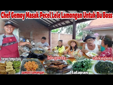 Download MP3 MENYAMBUT KEDATANGAN BU BOSS DARI BALI‼️masak pecel lele lamongan,tumis kangkung ala chef GEMOY