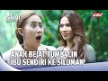 Download Lagu Pesugihan Siluman Kelabang Memakan Korban | Aini Malaikat Tak Bersayap Eps 183 FULL