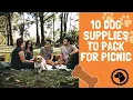 10 Dog Supplies To Pack For A Day At The Park DOG PRODUCTS