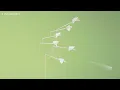 Modest Mouse - Bury Me With It (Official Audio)
