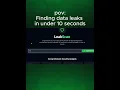 How to Find a Data Leak in 10 Seconds Free Tool