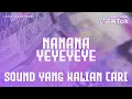 Download Lagu SOUND VIRAL DJ NANANA YEYEYEYE REMIX FULL BASS (JEDAG JEDUG SOUND 2023)