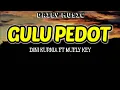 Download Lagu Gulu Pedot | Dini Kurnia ft Mufly Key [Lirik Lagu]