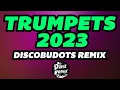 Trumpets 2023 ( Dj Danz Remix ) - Fvnky X Discobudots Remix