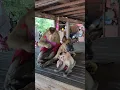 Great Video of SokYaa,ToTo , Phao And Sokhaa are HARMONY And Fun Will MAKE YOU SMILE